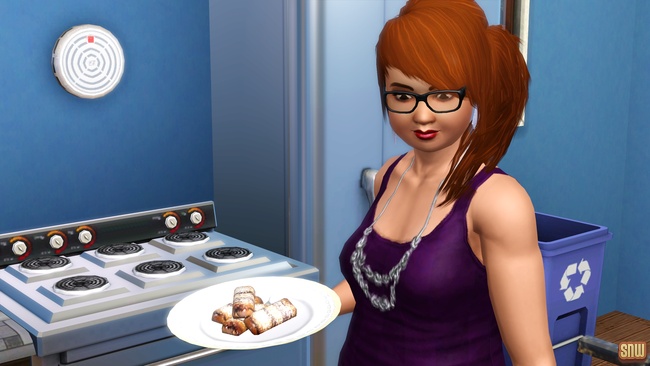 Sizzle Baby Pro Deep Fryer and Frost-Bite Pro Ice Cream Machine (premium content for The Sims 3)