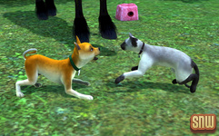 The Sims 3 Pets