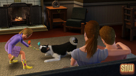 The Sims 3 Pets