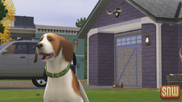 The Sims 3 Pets