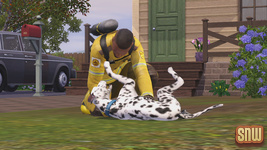 The Sims 3 Pets