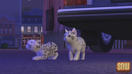 The Sims 3 Pets