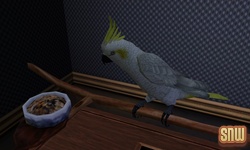 The Sims 3 Pets: Birds