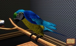 The Sims 3 Pets: Birds