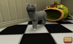 The Sims 3 Pets: Oopsie-Daisy the cat