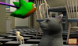 The Sims 3 Pets: Oopsie-Daisy the cat playing with bird toy