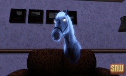 The Sims 3 Pets: Estela the ghost horse