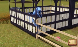 The Sims 3 Pets: Estela Marshall the ghost horse