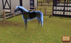 The Sims 3 Pets: Estela Marshall the ghost horse