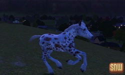 The Sims 3 Pets: GooGoo the horse