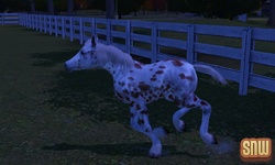 The Sims 3 Pets: GooGoo the horse