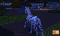 The Sims 3 Pets: GooGoo the horse