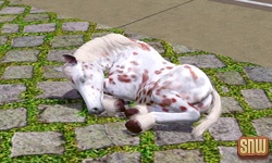 The Sims 3 Pets: Estela the ghost horse