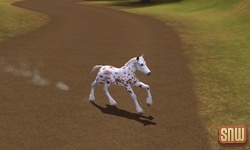 The Sims 3 Pets: GooGoo the horse