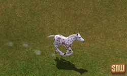 The Sims 3 Pets: GooGoo the horse