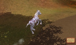 The Sims 3 Pets: GooGoo the horse