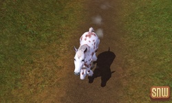 The Sims 3 Pets: GooGoo the horse