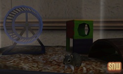 The Sims 3 Pets: Squirrel
