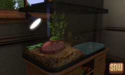 The Sims 3 Pets: Turtle