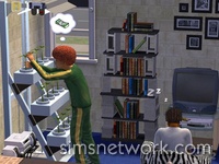 The Sims 2