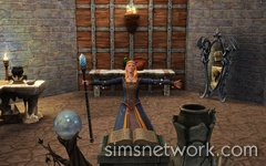 The Sims Medieval