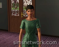 The Sims 3 Hidden Springs