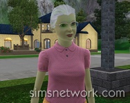 The Sims 3 Hidden Springs