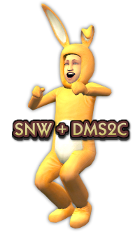 SNW and DMS2C merge websites